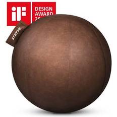 Trainingsbälle STRYVE STRYVE Balancegerät Active Ball 70cm