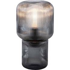 Paul Neuhaus Belysning Paul Neuhaus rökglas Zonat Bordslampa