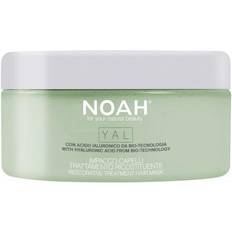Yal Restorative Treatment Hair Mask
