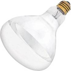 Heat lamp bulb Westinghouse 03907 125R40/HT 03907 Heat Lamp Light Bulb