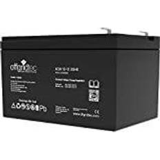 Agm 12v 12ah Offgridtec 12Ah AGM Akku 12V Solarbatterie extrem zyklenfest