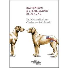 Kastration Kastration & Sterilisation beim Hund