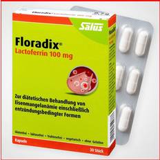 Floradix Vitamine & Nahrungsergänzung Floradix 2 lactoferrin 100 mg kapseln 30st