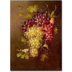 Cotton Wall Decor Trademark Fine Art Rio "Still with Grapes" Gallery-Wrapped Wall Decor