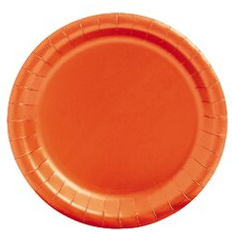 Orange Disposable Plates Fun Express Orange 7 Paper Plates 24Pc Party Supplies 24 Pieces