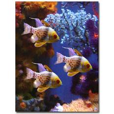 Posters Trademark Fine Art "Three Pajama Fish" Amy Vangsgard Painting Print on Poster