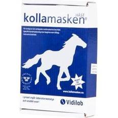 Kollamasken Vidilab Kollamasken Horse