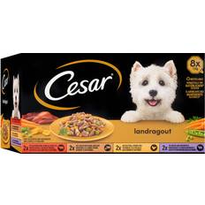 Cesar Hundfoder Husdjur Cesar Landragout 4 Varietäten 8x150g