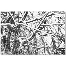 Interior Details Trademark Fine Art "Winter Tree" Kathie McCurdy Graphic on Framed Art