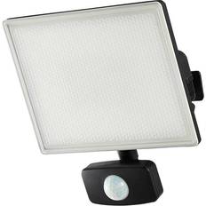 Coast TROSA LED Floodlight 30W Cool