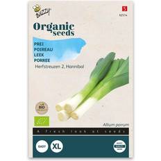 Graines de Légumes Buzzy Organic porre Leek Herfstreuzen 2 Hannibal