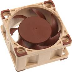 Noctua Fans Noctua NF-A4x20 5V 40