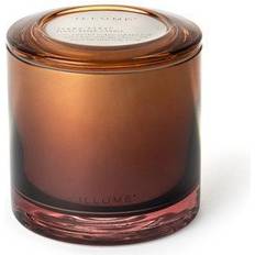 Bloomingville Doftljus Bloomingville Illume Terra Tabac Statement Glas Brun Doftljus