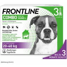 Frontline Dogs Pets Frontline Combo Spot on Hund Lsg.z.Auft.a.Haut 3