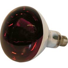 Varmepære Rød 250W 5000 Timer