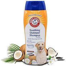 Arm & Hammer Soothing Oatmeal Shampoo for Dogs 20 fl oz