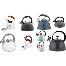 Florina Stainless steel kettle Bril..