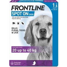 Frontline Spot On Flea & Tick Large Dog Breed 20-40kg