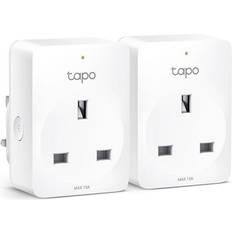 Google Assistant Wall Outlets TP-Link P110