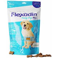 Supplementen Huisdieren Vetoquinol Flexadin Young Dog Maxi Joint Support 60 Tablets