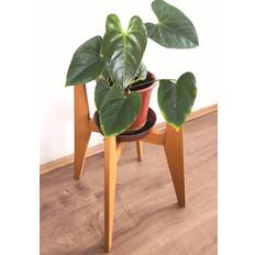 Pollny 50cm Tall Plant Stand Pot