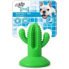 Dental cactus Afp Dental Cactus L