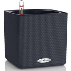 Lechuza Självvattnande Kruka Cube Color 16cm