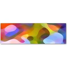 Interior Details Trademark Fine Art Dappled Light Panoramic 2 Amy Vangsgard Graphic Wall Decor