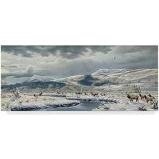 Interior Details Trademark Fine Art 'September Snow' Graphic Print on Wrapped Wall Decor