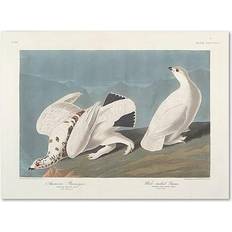 Interior Details Trademark Fine Art "American Ptarmigan" James Audubon Painting Print on Wrapped Wall Decor