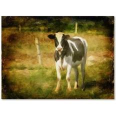 Stone Wall Decor Trademark Fine Art 'Handsome Holstein' Lois Bryan Painting Print on Wrapped Wall Decor