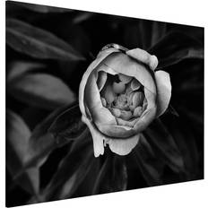 Notice Boards Magnettafel Blumen Querformat 4:3 Pinnwand