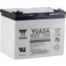 T 169 Yuasa REC36-12 Blybatteri 12 V 36 Ah Blyfleece B x H x [Ukendt]