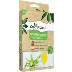 Green Protect Pot Plant Insektsfälla Utseendet På Den Skiljer Lite