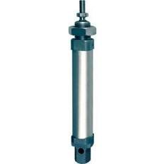 Hausnummern Riegler RIEGLER 105769-1.DM.12200 Rundzylinder, doppeltwirkend, Magnet, Kolben-Ø