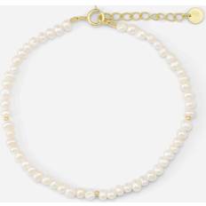 Smykker Sorelle Jewellery Sorelle Sky bracelet Forgyldt