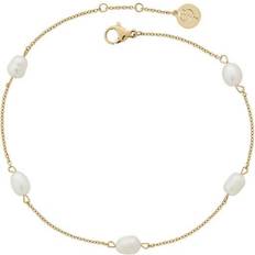 14k Fotlänkar Edblad Anklet - Gold/Pearls