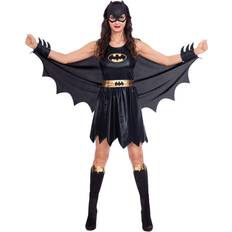 Batgirl Classic Carnival Costume