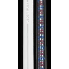 Leddy akvarie Aquael Leddy Slim Plant 36W