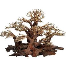 40x20x25 ELDORADO 4FISH Tree roots Mini forest