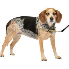 Dog harness no pull PetSafe Easy Walk Dog Harness No Pull Dog