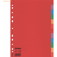 Orange Mapper & Ringbind Esselte dividers made of colored