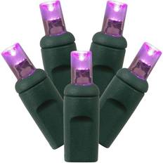 Purple Ground Lighting Vickerman 31685 100 Ground Lighting