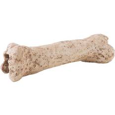 Dinosaur Exo Terra Dinosaur Bone