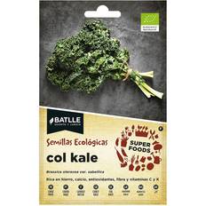 Barato Frutos secos Sobre De Semillas Kale Super Foods Eco 680011 Bols Batlle