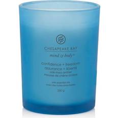 Blåa Doftljus Chesapeake Bay Candle Confidence + Freedom 250 Doftljus