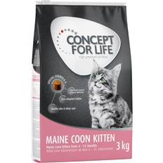 Maine coon kitten Concept for Life Maine Coon Kitten oppskrift!