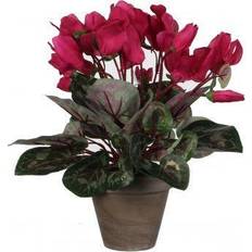 Polyester Künstliche Pflanzen Mica Decorations Cyclamen Dark Pink Künstliche Pflanzen