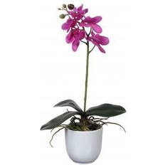 Glas Künstliche Pflanzen Mica Decorations Phalaenopsis im Künstliche Pflanzen