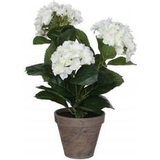 Gråa Konstgjorda växter Mica Decorations Hortensia Vit 40 cm Hög Konstgjord växt